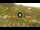 Webcam in Livigno, 0.3 mi away