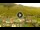 Webcam in Livigno, 2.4 km