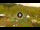 Webcam in Livigno, 0.2 mi away