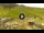 Webcam in Livigno, 0.1 mi away