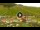 Webcam in Livigno, 16.1 km