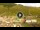 Webcam in Livigno, 2.3 km entfernt