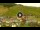 Webcam in Livigno, 0.1 mi away