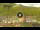 Webcam in Livigno, 1 km