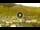 Webcam in Livigno, 0.8 km