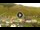 Webcam in Livigno, 0.1 km