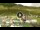 Webcam in Livigno, 0.5 km