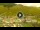 Webcam in Livigno, 0.6 mi away