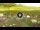 Webcam in Livigno, 17.9 km