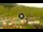 Webcam in Livigno, 0.4 mi away