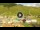 Webcam in Livigno, 0.1 mi away