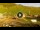 Webcam in Livigno, 6.2 mi away