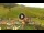 Webcam in Livigno, 0.2 mi away
