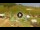 Webcam in Livigno, 16.1 km entfernt