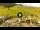 Webcam in Livigno, 2.1 km