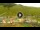 Webcam in Livigno, 0.2 mi away