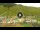 Webcam in Livigno, 0.2 mi away