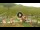 Webcam in Livigno, 0.8 km