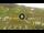 Webcam in Livigno, 0.3 mi away