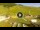 Webcam in Livigno, 0.5 km