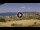 Webcam in Nea Roda, 155.9 km