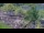 Webcam in Waikoloa Village, Hawaii, 122.2 km