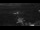 Webcam in Waikoloa Village, Hawaii, 58.7 km