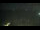 Webcam in Wailea, Hawaii, 62.6 mi away