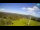 Webcam in Rogla, 0.9 mi away
