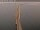 Webcam auf der Øresundbrücke, 20.7 km entfernt