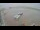 Webcam in Gdansk, 17.1 mi away