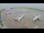 Webcam in Gdansk, 36.2 mi away