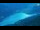 Webcam in Bohinj, 7.7 mi away