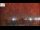 Webcam in Naples, Florida, 68.4 mi away