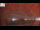 Webcam in Naples, Florida, 2.2 mi away