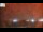 Webcam in Naples, Florida, 2.9 mi away