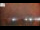 Webcam in Naples, Florida, 68.4 mi away