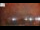 Webcam in Naples, Florida, 65.3 mi away