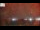 Webcam in Naples, Florida, 169.8 km
