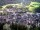 Webcam in Ortisei, 0 km