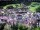 Webcam in Ortisei, 0 mi away