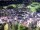 Webcam in St. Ulrich in Gröden, 4.4 km