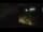 Webcam in Lakewood Ranch, Florida, 75.4 km