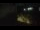 Webcam in Lakewood Ranch, Florida, 64.1 km