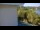 Webcam in Lakewood Ranch, Florida, 71.8 km