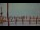 Webcam in Bokeelia, Florida, 23.4 mi away