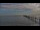 Webcam in Bokeelia, Florida, 29.7 km entfernt