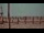 Webcam in Bokeelia, Florida, 11.4 mi away