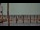 Webcam in Bokeelia, Florida, 52.3 km
