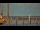 Webcam in Bokeelia, Florida, 32.3 km